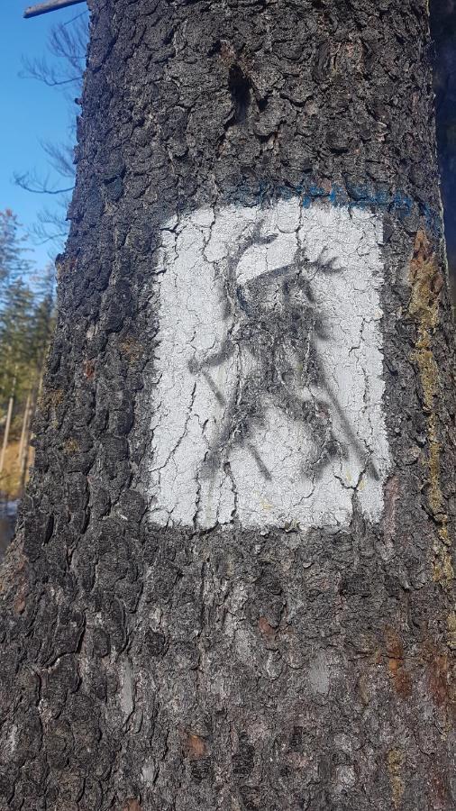 Skaly Spaly プシェシェカ エクステリア 写真